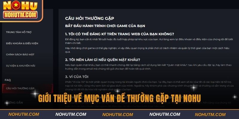 Giới thiệu về mục vấn đề thường gặp tại NOHU